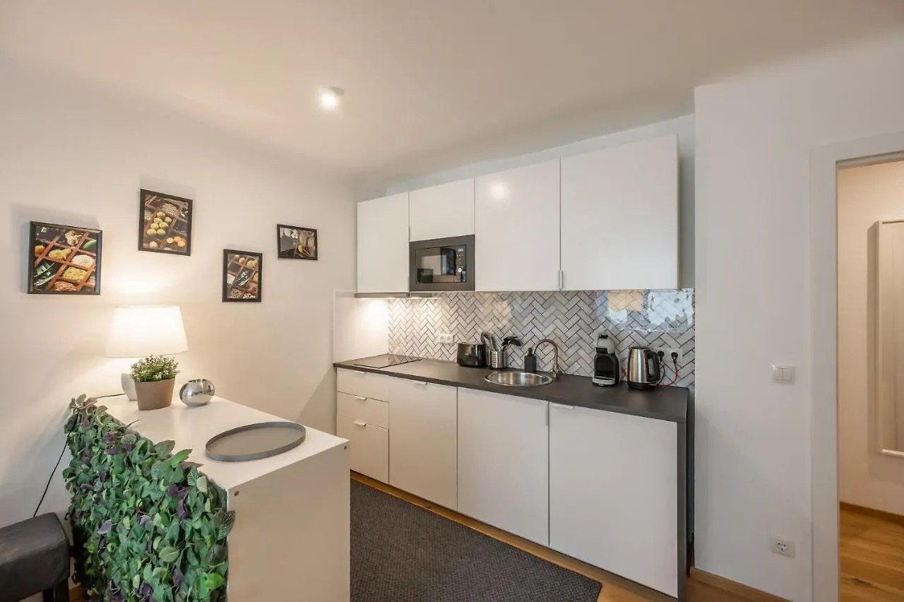 Modern City Center Apartment Vienna